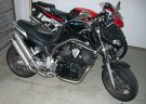 Yamaha-Bulldog-web.jpg